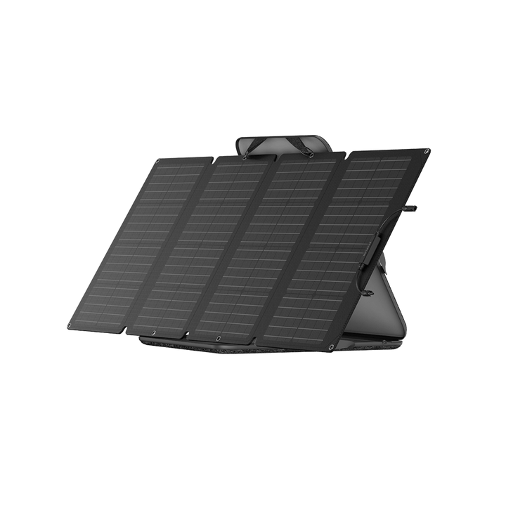 EcoFlow 160W portable solar panel on green background.